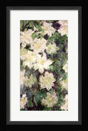 Framed White Clematis, 1887 Print