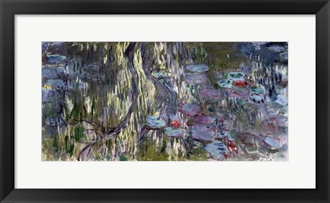 Framed Waterlilies (horizontal) Print
