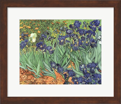 Framed Irises, 1889 Print