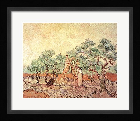 Framed Olive Grove, 1889 Print