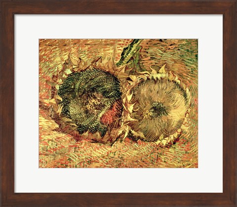 Framed Two Cut Sunflowers, 1887 Print