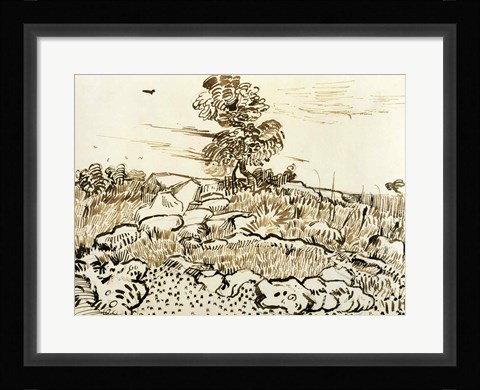 Framed Rocky Ground at Montmajour Print