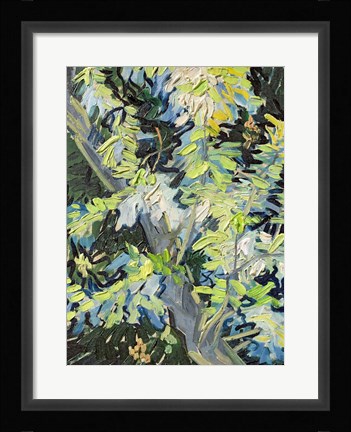 Framed Acacia in Flowe Print