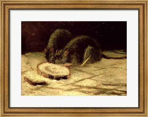 Framed Two Rats Print