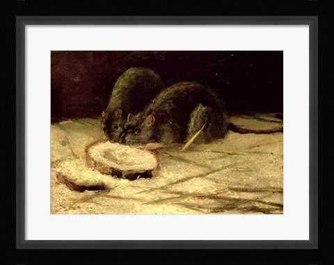 Framed Two Rats Print