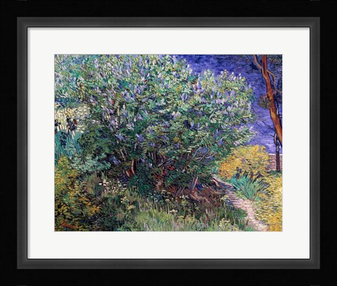 Framed Lilac Bush, 1889 Print
