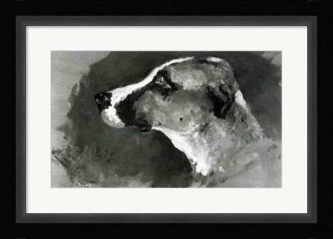 Framed Head of a Dog with Short Ears, 1879 Print