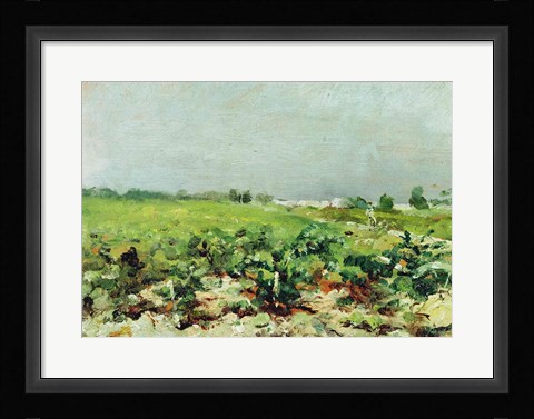 Framed Celeyran, View of the Vineyard, 1880 Print