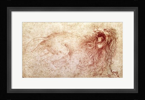 Framed Sketch of a roaring lion Print