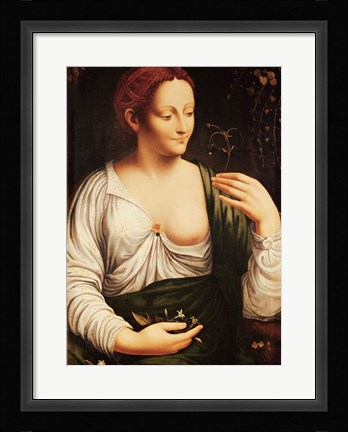 Framed Columbine Print