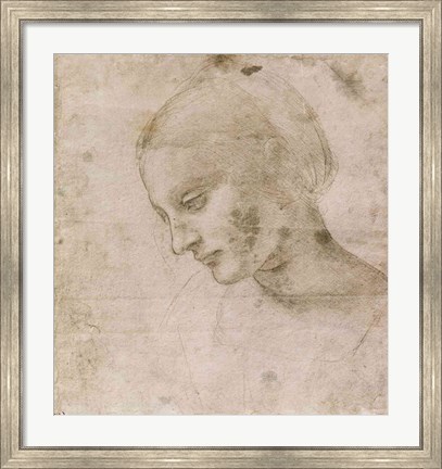 Framed Head of a Young Woman or Head of the Virgin Print