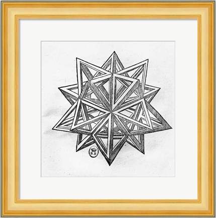 Framed Dodecahedron Print