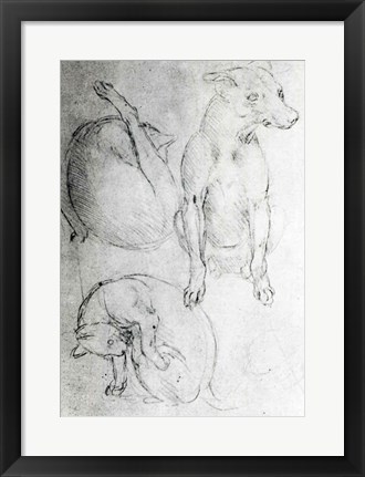 Framed Study of a dog and a cat Print