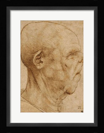 Framed Caricature of the head of an old man, in profile to the right, c.1507 Print