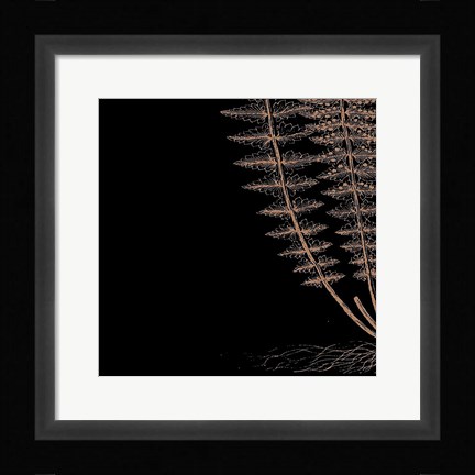 Framed Fern III (on black) Print