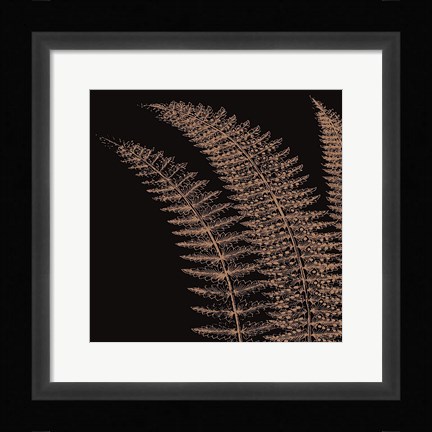 Framed Fern I (on black) Print