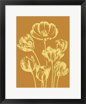 Framed Tulip 20 Print
