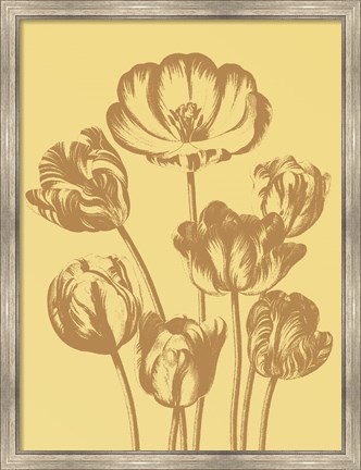 Framed Tulip 19 Print