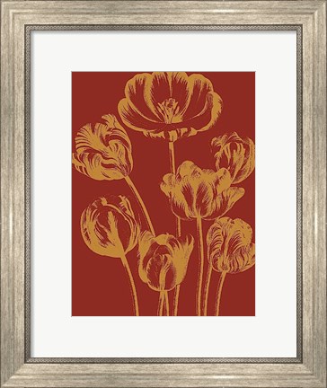Framed Tulip 16 Print