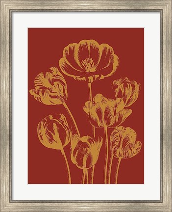 Framed Tulip 16 Print