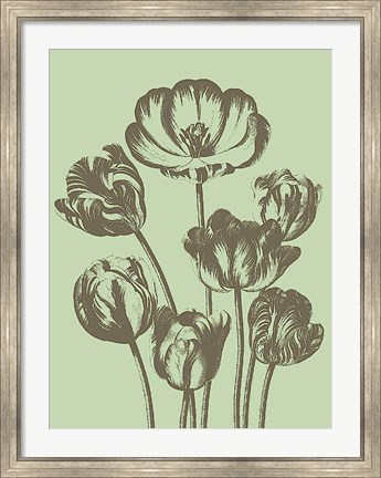 Framed Tulip 11 Print
