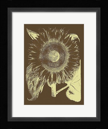 Framed Sunflower 3 Print