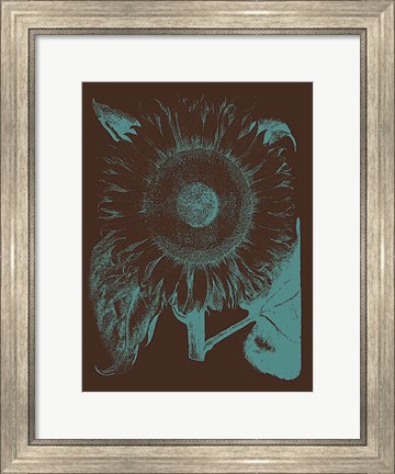 Framed Sunflower 6 Print