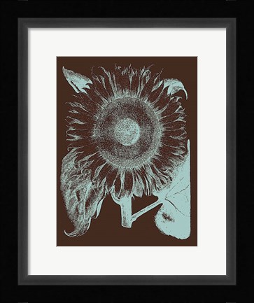 Framed Sunflower 17 Print