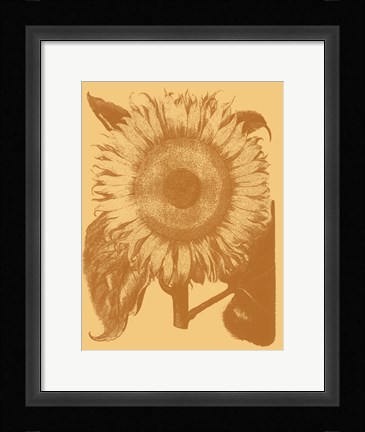 Framed Sunflower 19 Print