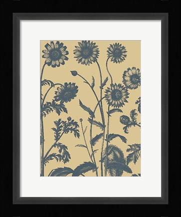 Framed Chrysanthemum 1 Print