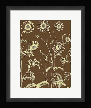 Framed Chrysanthemum 3 Print