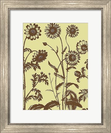 Framed Chrysanthemum 4 Print