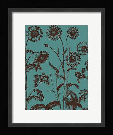 Framed Chrysanthemum 5 Print