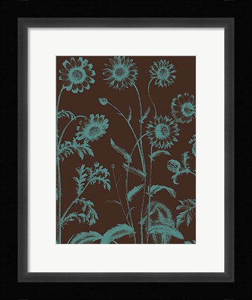 Framed Chrysanthemum 6 Print