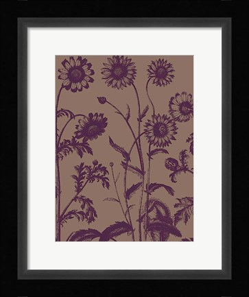 Framed Chrysanthemum 14 Print