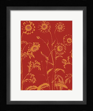 Framed Chrysanthemum 16 Print
