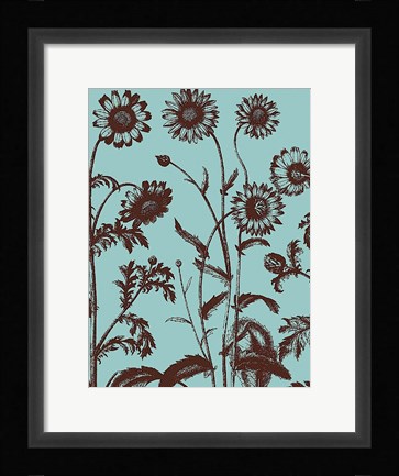 Framed Chrysanthemum 18 Print