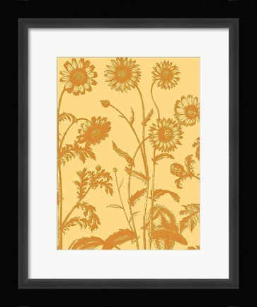 Framed Chrysanthemum 19 Print