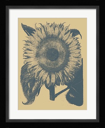 Framed Sunflower 1 Print