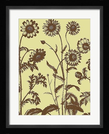 Framed Chrysanthemum 4 Print