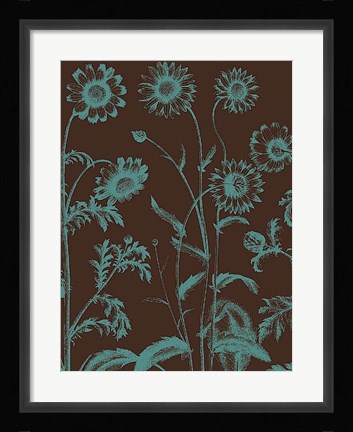Framed Chrysanthemum 6 Print