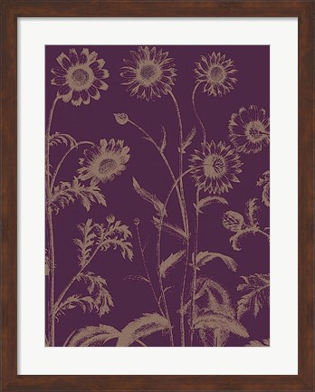 Framed Chrysanthemum 13 Print