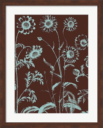 Framed Chrysanthemum 17 Print