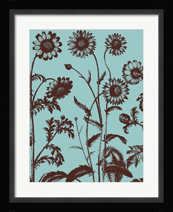 Framed Chrysanthemum 18 Print