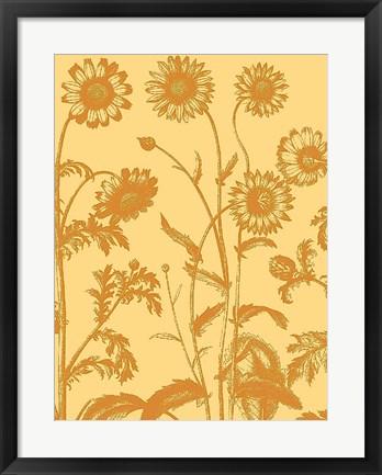 Framed Chrysanthemum 19 Print