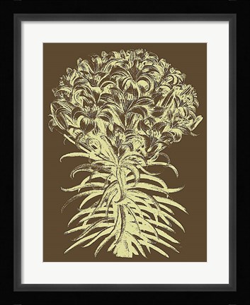 Framed Lilies 3 Print
