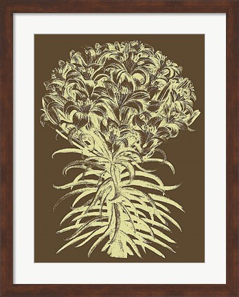 Framed Lilies 3 Print