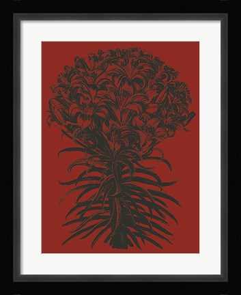 Framed Lilies 9 Print