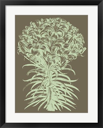 Framed Lilies 12 Print