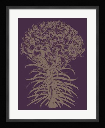Framed Lilies 13 Print